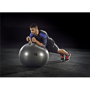 Adidas Gymball 75cm DGH Solid Grey (ADBL-13247GR)