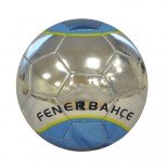 Fenerbahçe Reflection Futbol Topu No:5